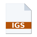 .IGS icon