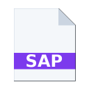 .SAP icon