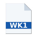 .WK1 icon
